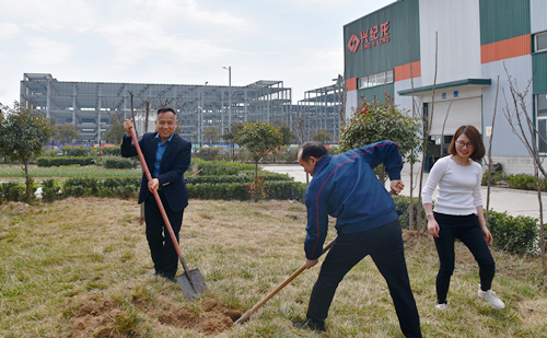 王總帶領大家挖樹（shù）坑