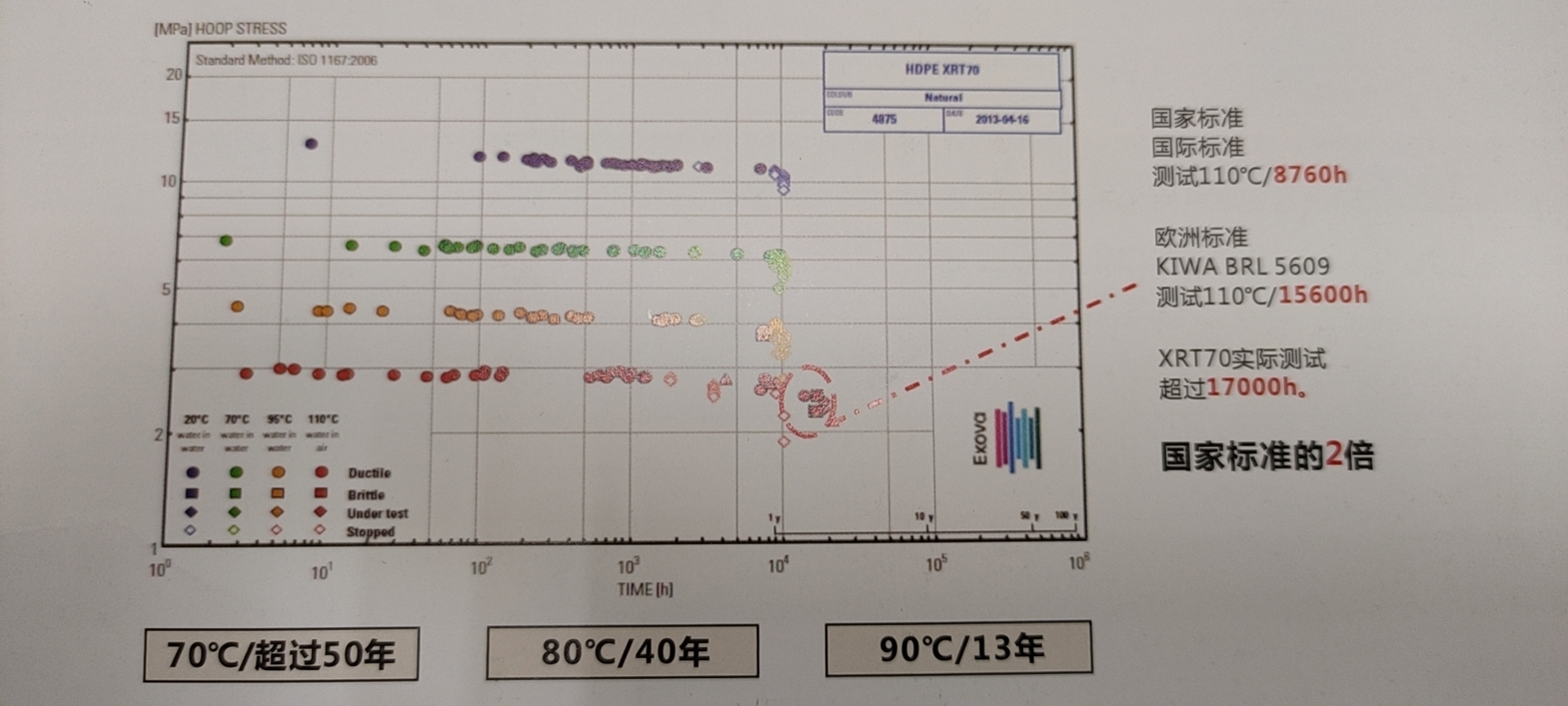 “興紀（jì）龍”